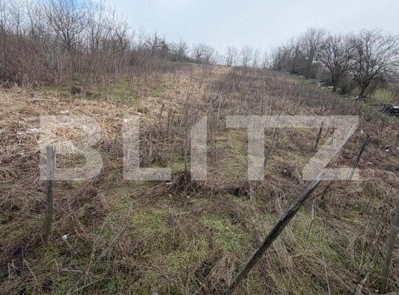 Teren de vânzare Filiaşi - 187843TV | BLITZ Craiova | Poza4