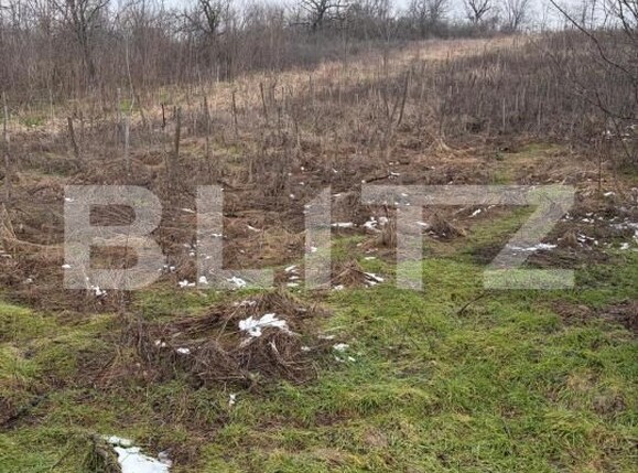 Teren de vânzare Filiaşi - 187843TV | BLITZ Craiova | Poza3