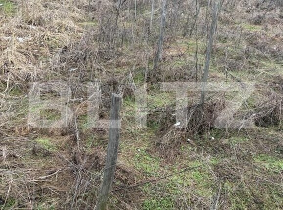 Teren de vânzare Filiaşi - 187843TV | BLITZ Craiova | Poza2