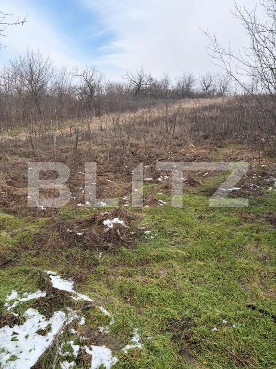 Teren de vânzare Filiaşi - 187843TV | BLITZ Craiova | Poza3
