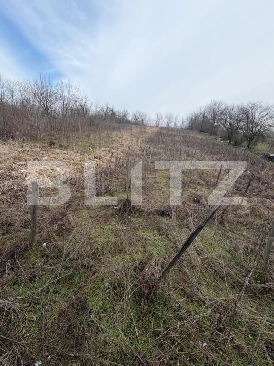 Teren de vânzare Filiaşi - 187843TV | BLITZ Craiova | Poza4