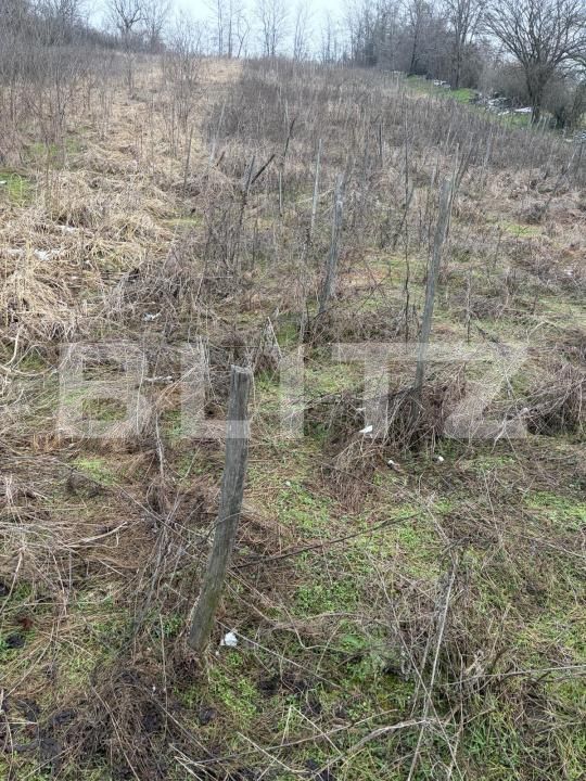 Teren de vânzare Filiaşi - 187843TV | BLITZ Craiova | Poza2