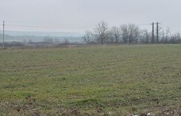 Teren de 9000mp, la intrarea in Filiasi ,la 300m de str. Racoteanu