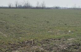 Teren de 9000mp, la intrarea in Filiasi ,la 300m de str. Racoteanu