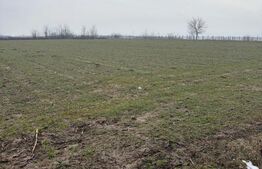 Teren de 9000mp, la intrarea in Filiasi ,la 300m de str. Racoteanu