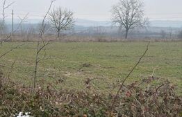 Teren de 9000mp, la intrarea in Filiasi ,la 300m de str. Racoteanu