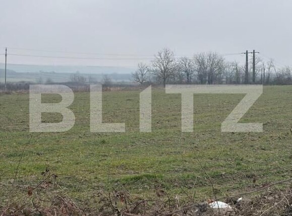 Teren de vânzare Filiaşi - 187846TV | BLITZ Craiova | Poza7