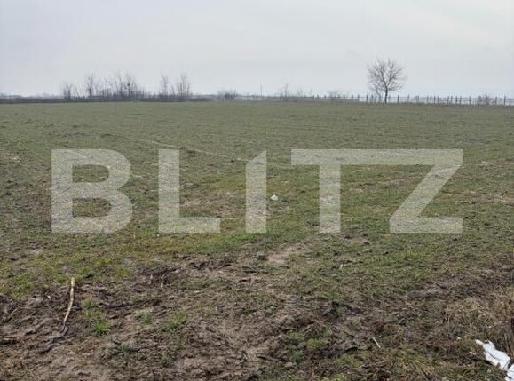 Teren de vânzare Filiaşi - 187846TV | BLITZ Craiova | Poza1