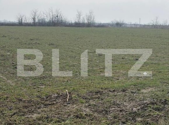 Teren de vânzare Filiaşi - 187846TV | BLITZ Craiova | Poza6