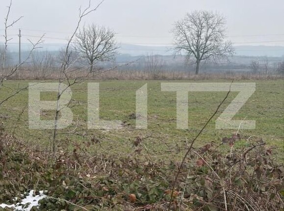 Teren de vânzare Filiaşi - 187846TV | BLITZ Craiova | Poza2