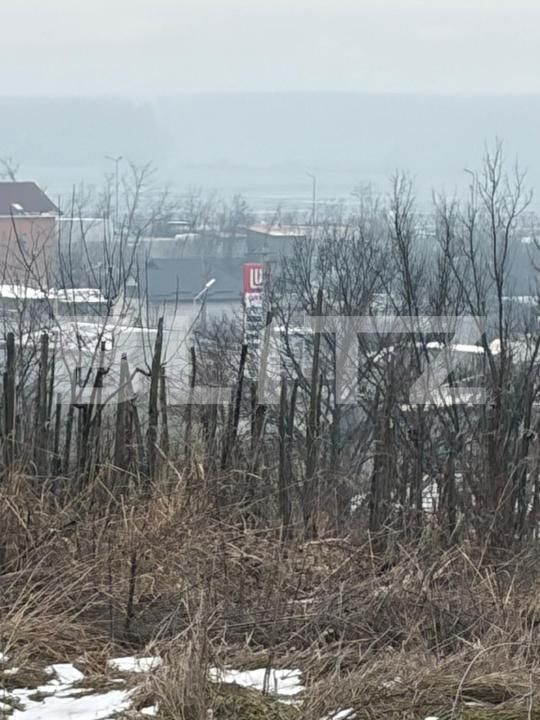 Teren de vânzare Filiaşi - 187846TV | BLITZ Craiova | Poza5