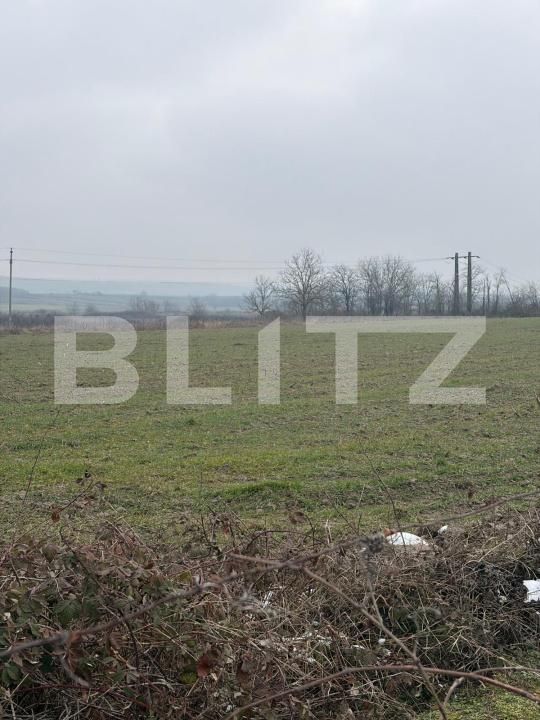 Teren de vânzare Filiaşi - 187846TV | BLITZ Craiova | Poza7