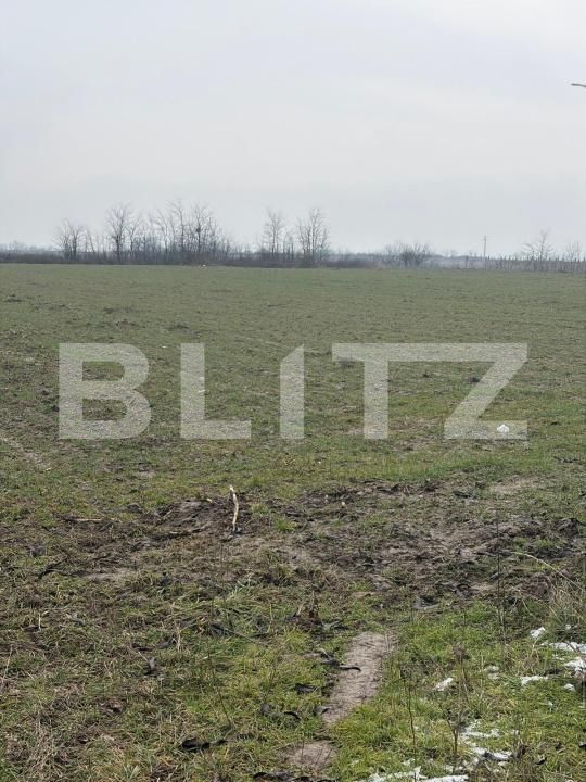 Teren de vânzare Filiaşi - 187846TV | BLITZ Craiova | Poza6