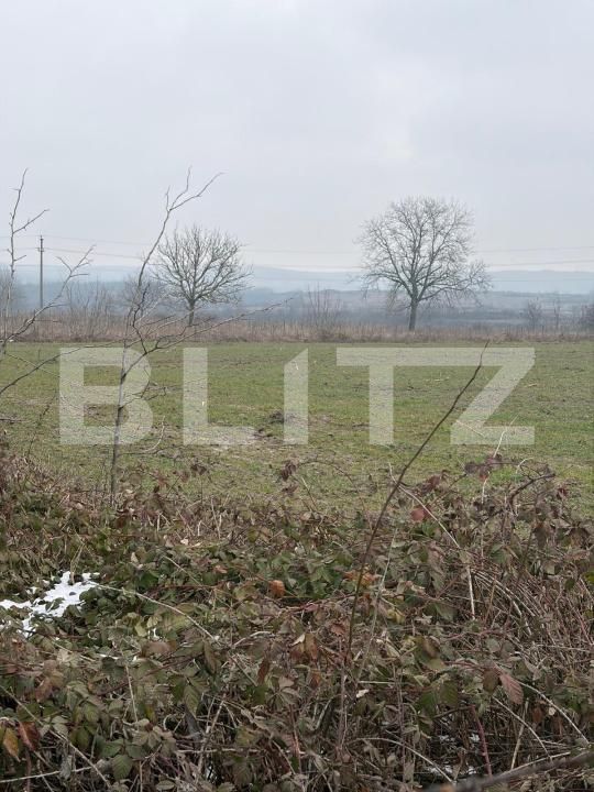 Teren de vânzare Filiaşi - 187846TV | BLITZ Craiova | Poza2