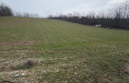 Teren de 6700mp, la intrarea in Filiasi ,la 50m de str. Racoteanu