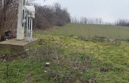 Teren de 6700mp, la intrarea in Filiasi ,la 50m de str. Racoteanu