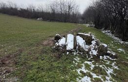 Teren de 6700mp, la intrarea in Filiasi ,la 50m de str. Racoteanu