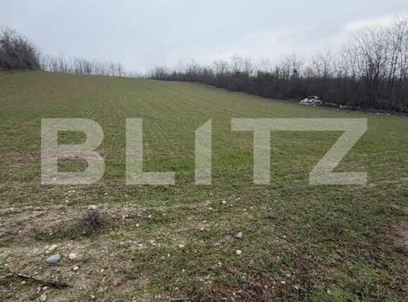 Teren de vânzare Filiaşi - 187863TV | BLITZ Craiova | Poza2