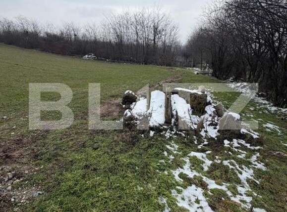 Teren de vânzare Filiaşi - 187863TV | BLITZ Craiova | Poza3