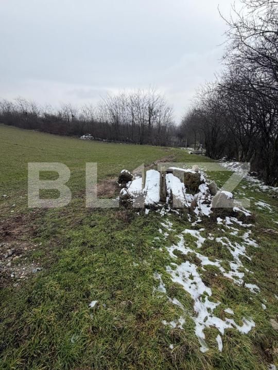 Teren de vânzare Filiaşi - 187863TV | BLITZ Craiova | Poza3