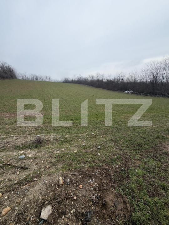 Teren de vânzare Filiaşi - 187863TV | BLITZ Craiova | Poza2