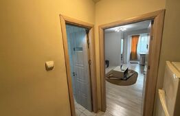 Garsoniera renovata si mobilata, 32 mp, zona Brazda lui Novac