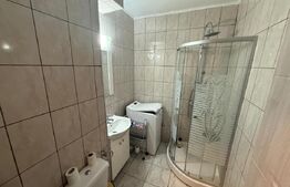 Garsoniera renovata si mobilata, 32 mp, zona Brazda lui Novac