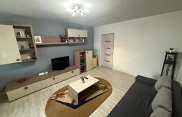 Garsoniera renovata si mobilata, 32 mp, zona Brazda lui Novac