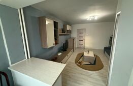 Garsoniera renovata si mobilata, 32 mp, zona Brazda lui Novac