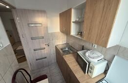 Garsoniera renovata si mobilata, 32 mp, zona Brazda lui Novac