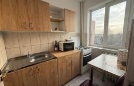 Garsoniera renovata si mobilata, 32 mp, zona Brazda lui Novac