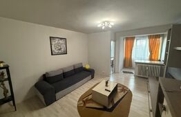 Garsoniera renovata si mobilata, 32 mp, zona Brazda lui Novac