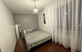 Apartament 2 camere, 40 mp, Valea Rosie, Scoala 31