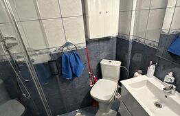 Apartament 2 camere, 40 mp, Valea Rosie, Scoala 31