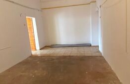 Spatiu comercial, 93 mp, Rovine