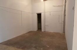 Spatiu comercial, 93 mp, Rovine