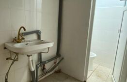 Spatiu comercial, 93 mp, Rovine