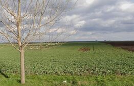 Teren de vânzare Exterior Est - 189166TV | BLITZ Craiova | Poza2