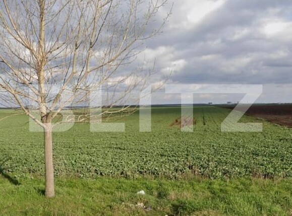 Teren de vânzare Exterior Est - 187887TV | BLITZ Craiova | Poza1