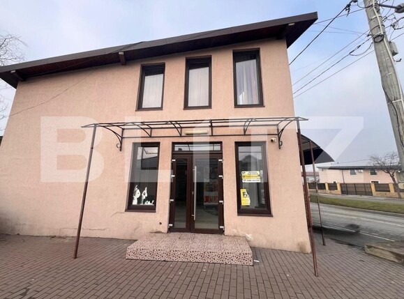 Spațiu comercial de închiriat Brestei - 187888SIC | BLITZ Craiova | Poza8