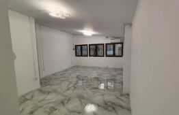 Spatiu comercial, 56 mp, Brazda lui Novac