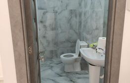 Spatiu comercial, 56 mp, Brazda lui Novac