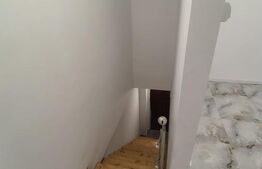 Spatiu comercial, 56 mp, Brazda lui Novac