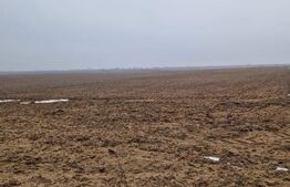 Teren de vânzare 2.500 mp – Malu Mare