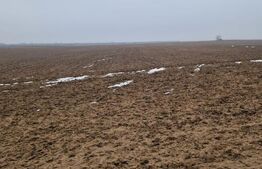 Teren de vânzare 2.500 mp – Malu Mare