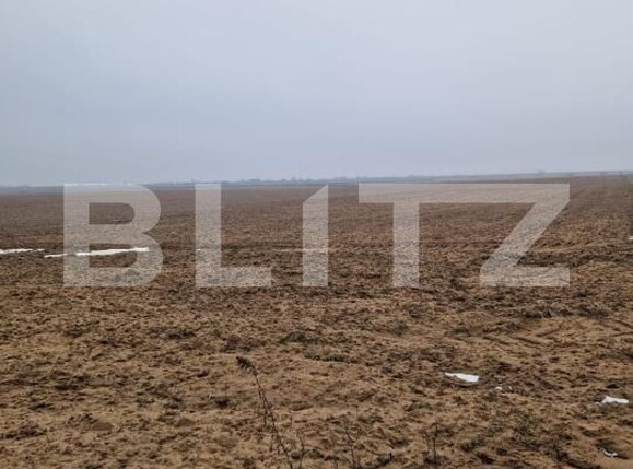 Teren de vânzare Malu Mare - 187912TV | BLITZ Craiova | Poza1