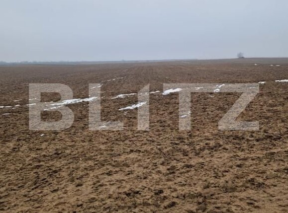 Teren de vânzare Malu Mare - 187912TV | BLITZ Craiova | Poza2