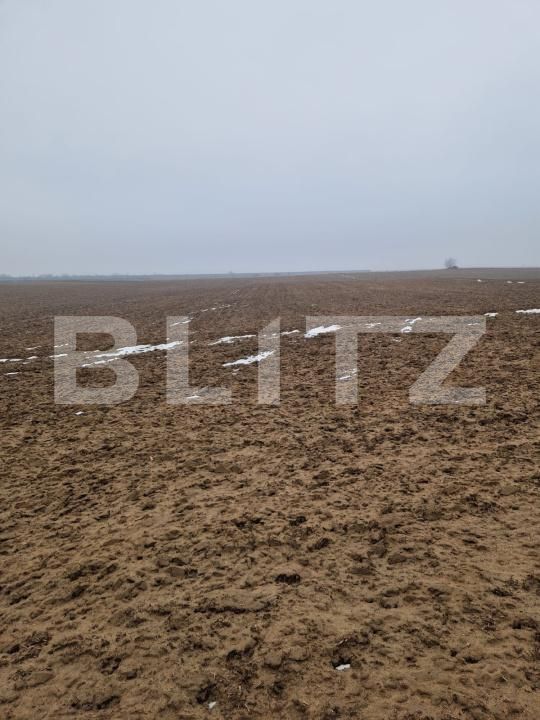 Teren de vânzare Malu Mare - 187912TV | BLITZ Craiova | Poza2