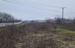 Teren de vânzare Malu Mare – 1.250 mp intravilan