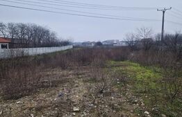 Teren de vânzare Malu Mare – 1.250 mp intravilan